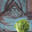 Spectating Lettuce