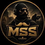 -MSS- CikkeL'