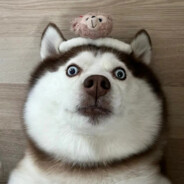 西伯利亚泰坦巨龙