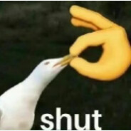 AK瞄我我要扣税