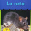 La rata