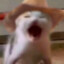 Gurrstar