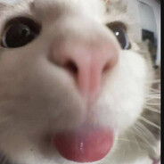 𝓜𝓪𝓻𝓲𝓼𝓱𝓪