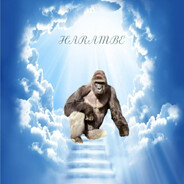 I SPOKE TO THE MONKEY
