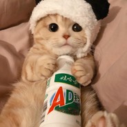 为生活低下了头