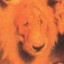 Ganjubas's avatar
