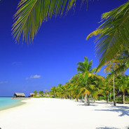 自信是一定要有的