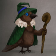 Player statistics - birdwizard | CS2 Stats