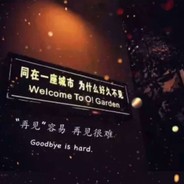 数数都数不明白