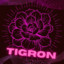 Tigron