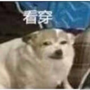 逃跑专家:康纳·V