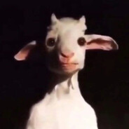 Саня Сиська