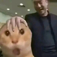 哈基米喔南北路多