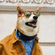 风花雪月梦一场