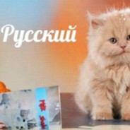 школьный унитаз