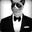 ★Tom_L★