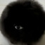 Chocolate eye