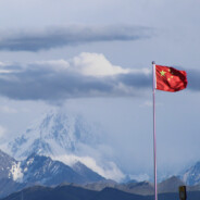 金真真的前列腺