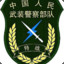 Chinese special forces