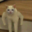Taggy_Sits