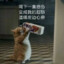 淡漠的苦瓜