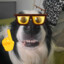 tqeew csgoskins