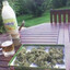 сучки текут