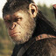 Apes Strong Together