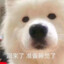 Sy_spirit