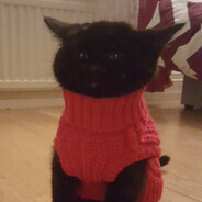 ^2QLTracker.com ^7Red Shirt Cat