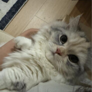 妲己把茶到我嘴里