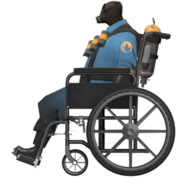 Pyro in wheelchair