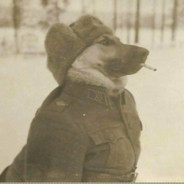 TROTSKY'S USSR ARMORED DOG