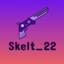 Skelt_22