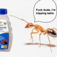 antacid