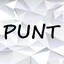 Punt