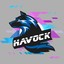 Havock1210