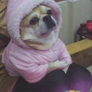 夜店呦(LOL又中毒了）