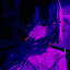 ✪ nyu