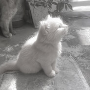 norixx |