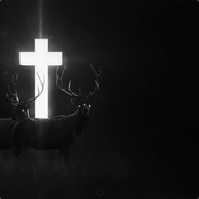 最爱sakura绘梨衣