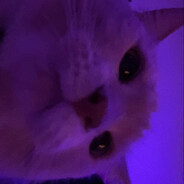 mikkkkaaaa