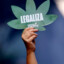🍁 Legalize 🍁