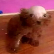 ХотюКакать