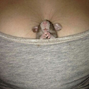 ratatuj - steam id 76561198797433845