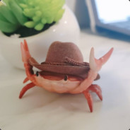 Crab with a cool hat
