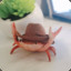 Crab with a cool hat