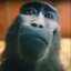 RizzMonkey