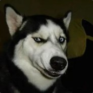 某位不知名柴总