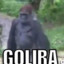 GoliraBanan